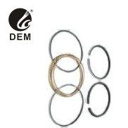 لشركة رينو OD-RE10 810.01-10 R10 R5LS R5TS R5GTL R12TL حلقات البستون حلقات الزيت